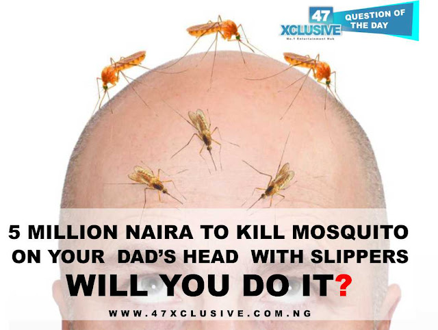 5 Million Naira To Kill Mosquito On Your Dad’s Head With Slippers – Will You Do It?