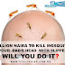 5 Million Naira To Kill Mosquito On Your Dad’s Head With Slippers – Will You Do It?