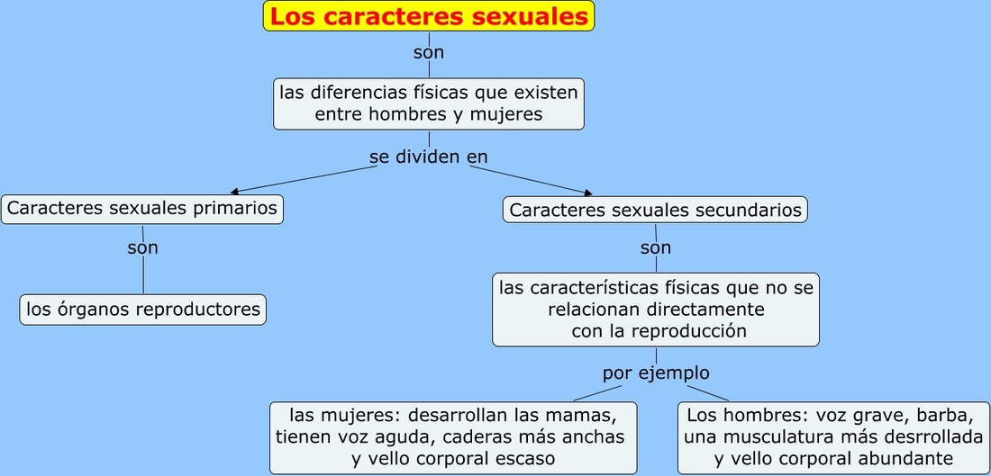 Caracteristicas sexuales