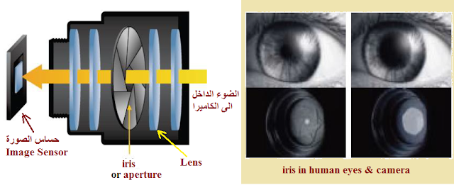 القزحية  IRIS