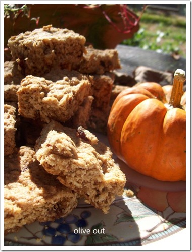 oatmeal cookies 004