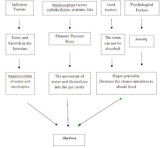 Nursing Care Plan for Children with Diarrhea