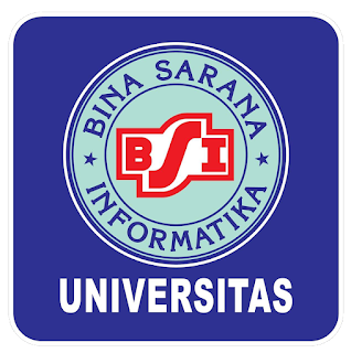 Universitas Bina Sarana Informatika