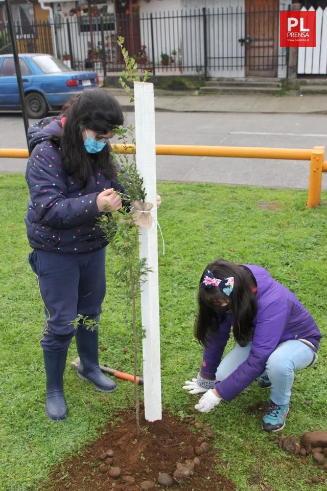 El Árbol: Nuestro Compromiso