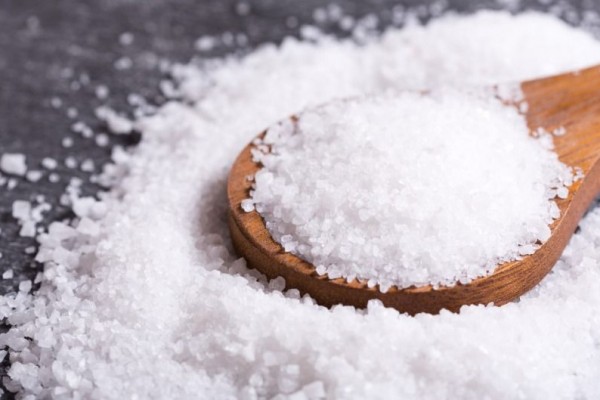 Can Dogs Eat Salt? Is Salt Safe For Dogs?