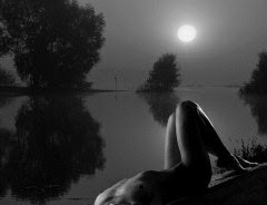 A_Noite_By_Jorge_B._