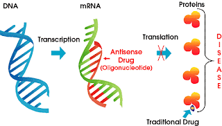 Oligonucleotidos antisense