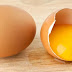 Tips Cara Menentukan Telur Yang Baik & Masih Segar