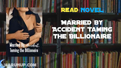 Married by Accident Taming the Billionaire Novel Cecilia and Remington