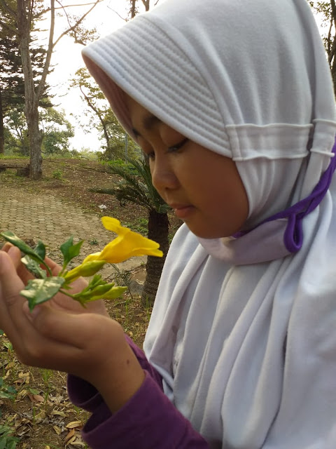 Tempat makan di trawas view pegunungan