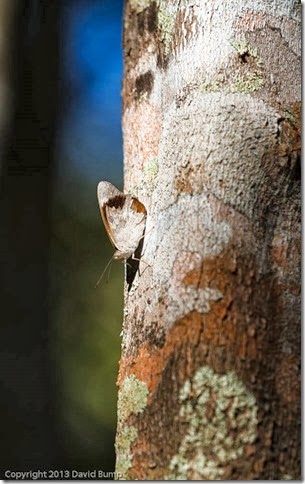 20130422_081811_7D_IMG_20891