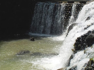 Pinoy Solo Hiker - Bumbungan Eco Park