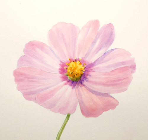Paint Draw Paint Learn To Draw Water Color Basics A Cosmos Flower Find the perfect cosmos flowers stock illustrations from getty images. paint draw paint