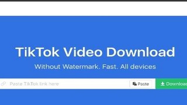 Snaptik TikTok Downloader