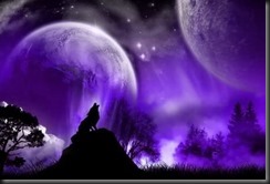 wolfmoon3