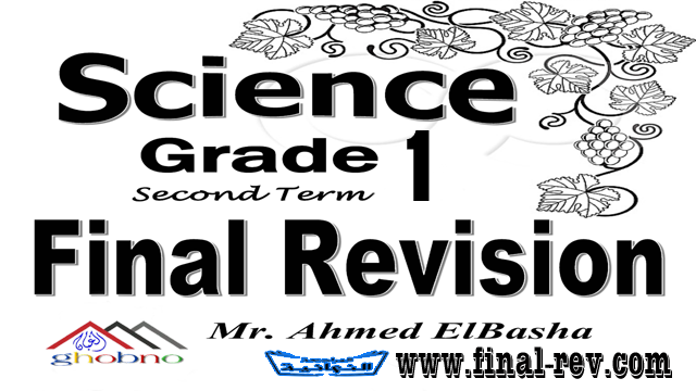المراجعة النهائية ساينس للصف الأول الإعدادي ترم أول 2022 أ/ أحمد الباشا