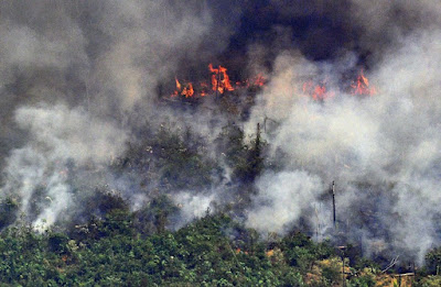 A foto mostra fogo na  floresta amazônica. Essa foto mostra colunas de fumaça em um trecho de fogo de dois quilômetros a cerca de 65 km de Porto Velho, no dia 23 de agosto.