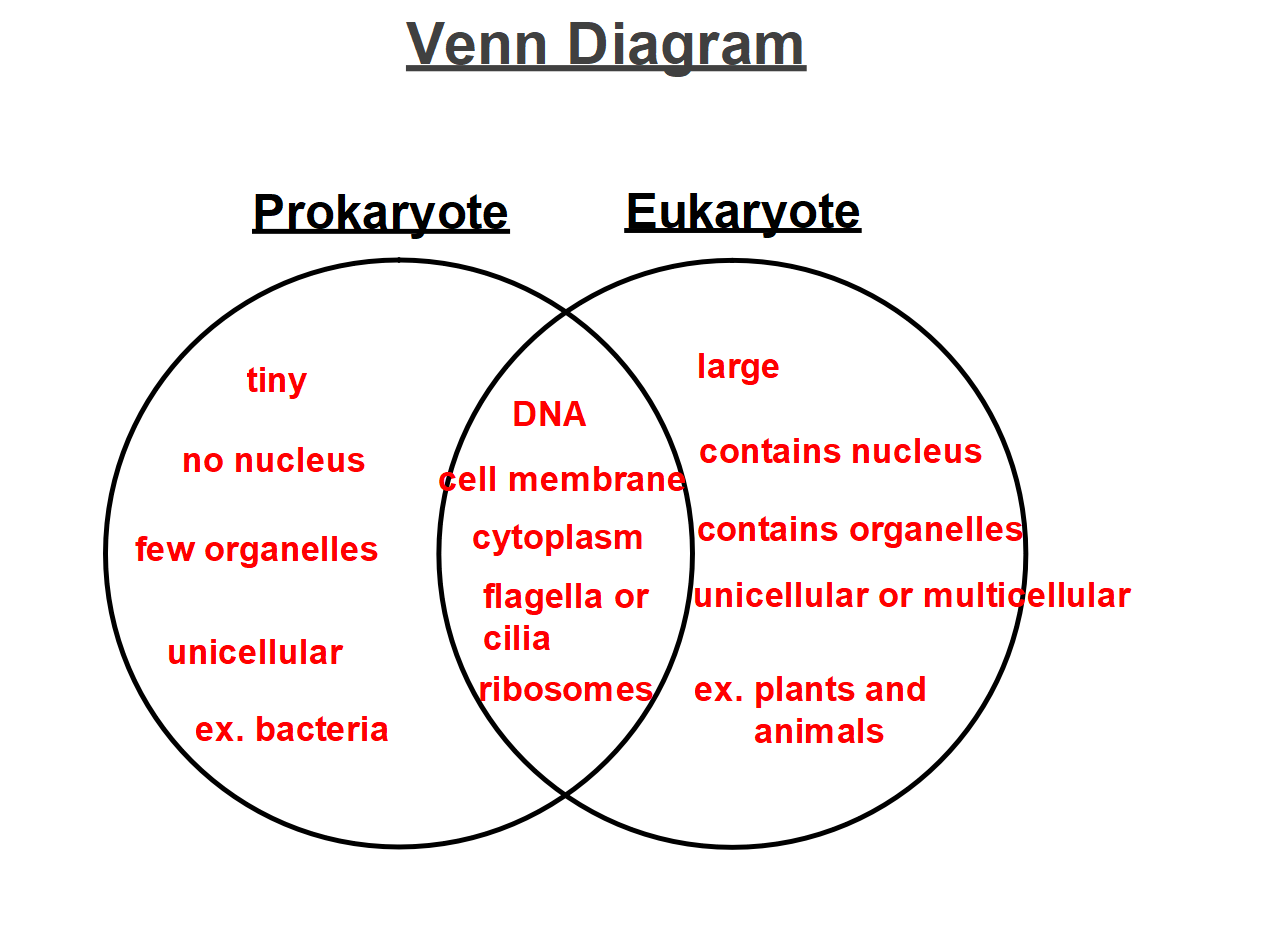 Venn diagram comparing prokaryotic and eukaryotic cells