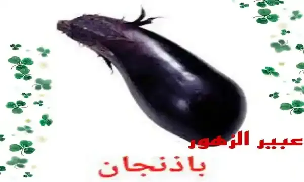 فائدة  الباذنجان