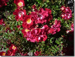 P1050772