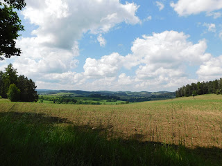 Obrázek