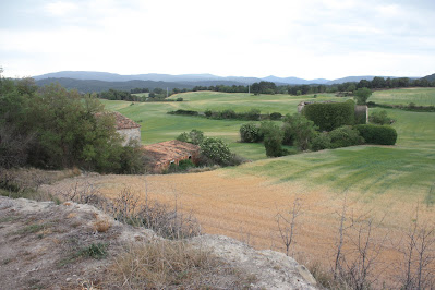 GUIALMONS - ERMITA DE SANT SALVADOR - DESPOBLAT DE FIGUEROLA -  SANT GALLARD, vista del despoblat de Figuerola