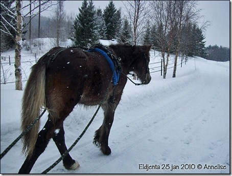2010-28jan-tomkjore_01