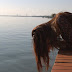 Palavra do dia 28/08/2013 - Vontade de desistir?