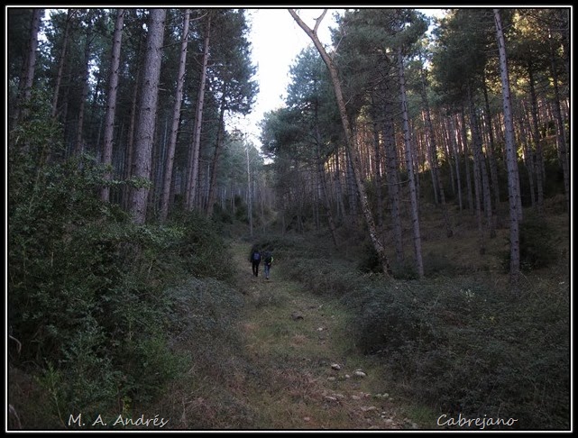 Izaga-norte 023