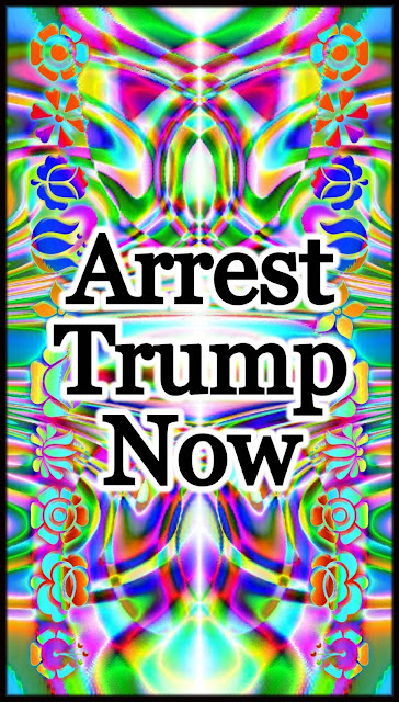 Arrest Trump Now - Meme for the FaceBorg "My Story" by gvan42