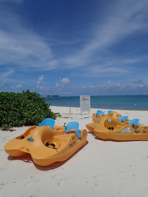 paddle boats