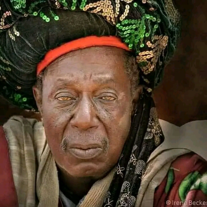 Hasan Sarkin Dogarai