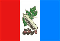 Bandeira de Adelândia GO