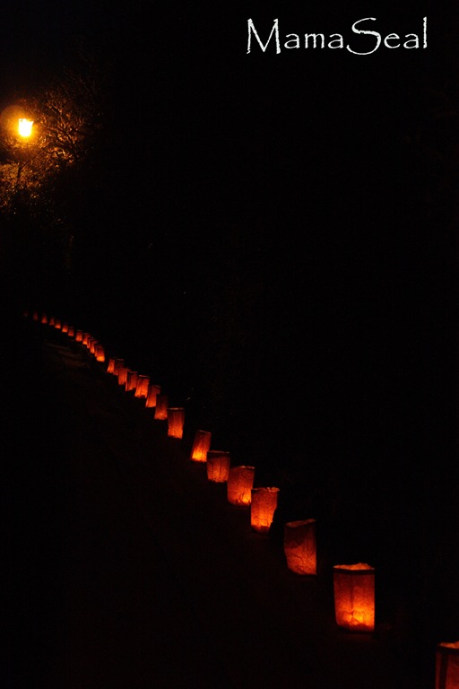 Luminarias 2010