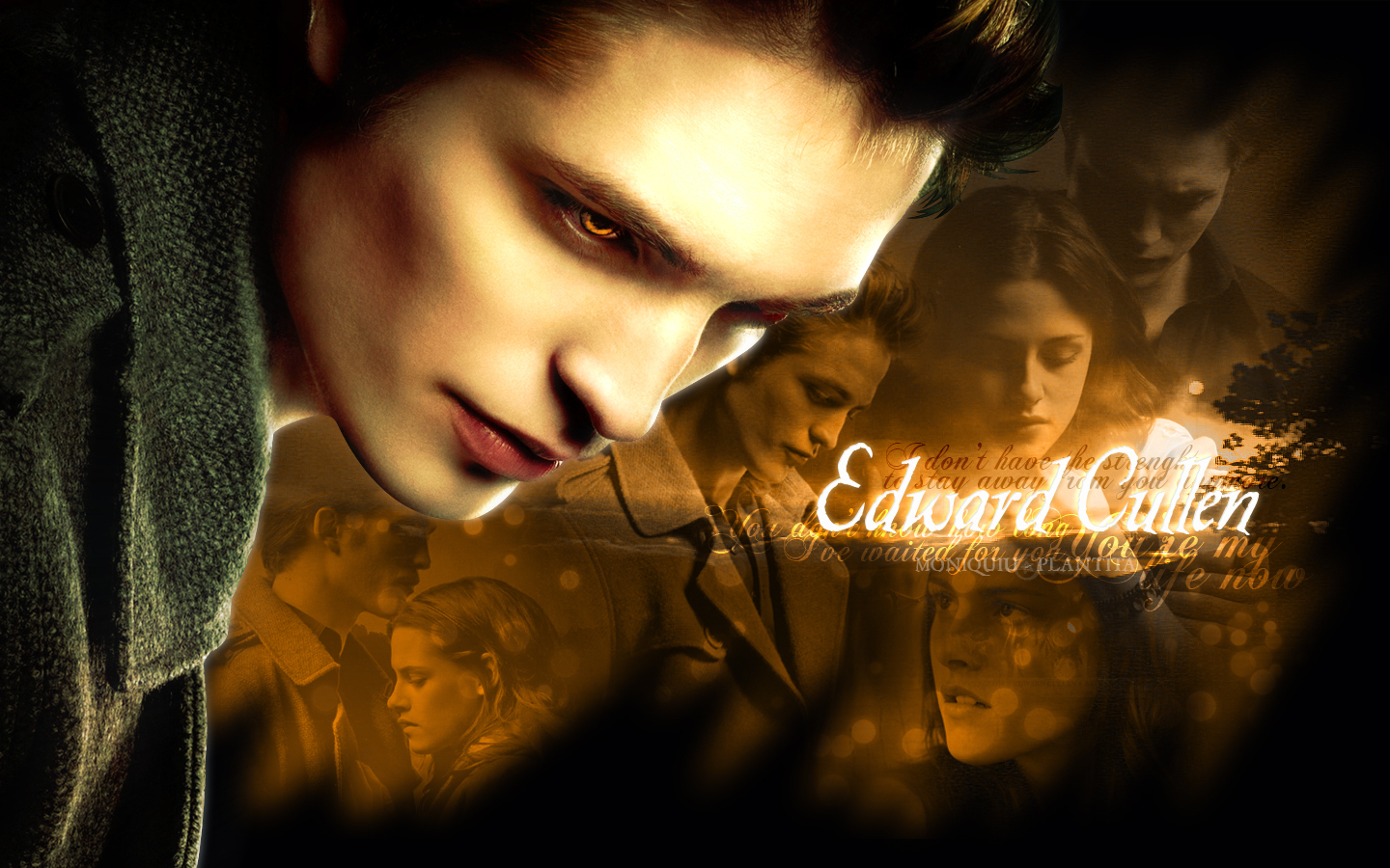 edward cullen twilight