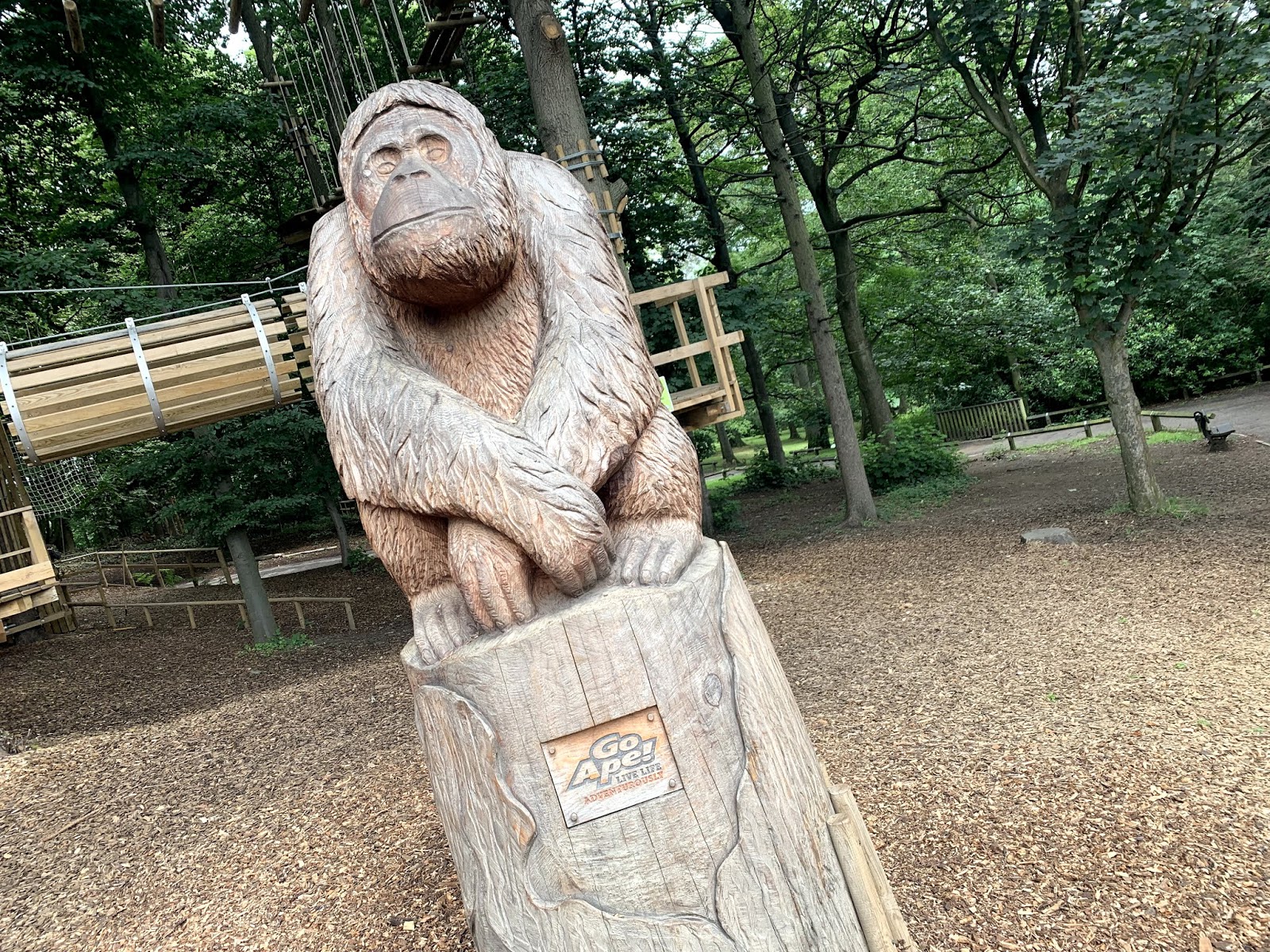 Go Ape Temple Newsam Review And Discount Code Girl Up North