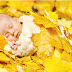 Autumn Leaves In Baby