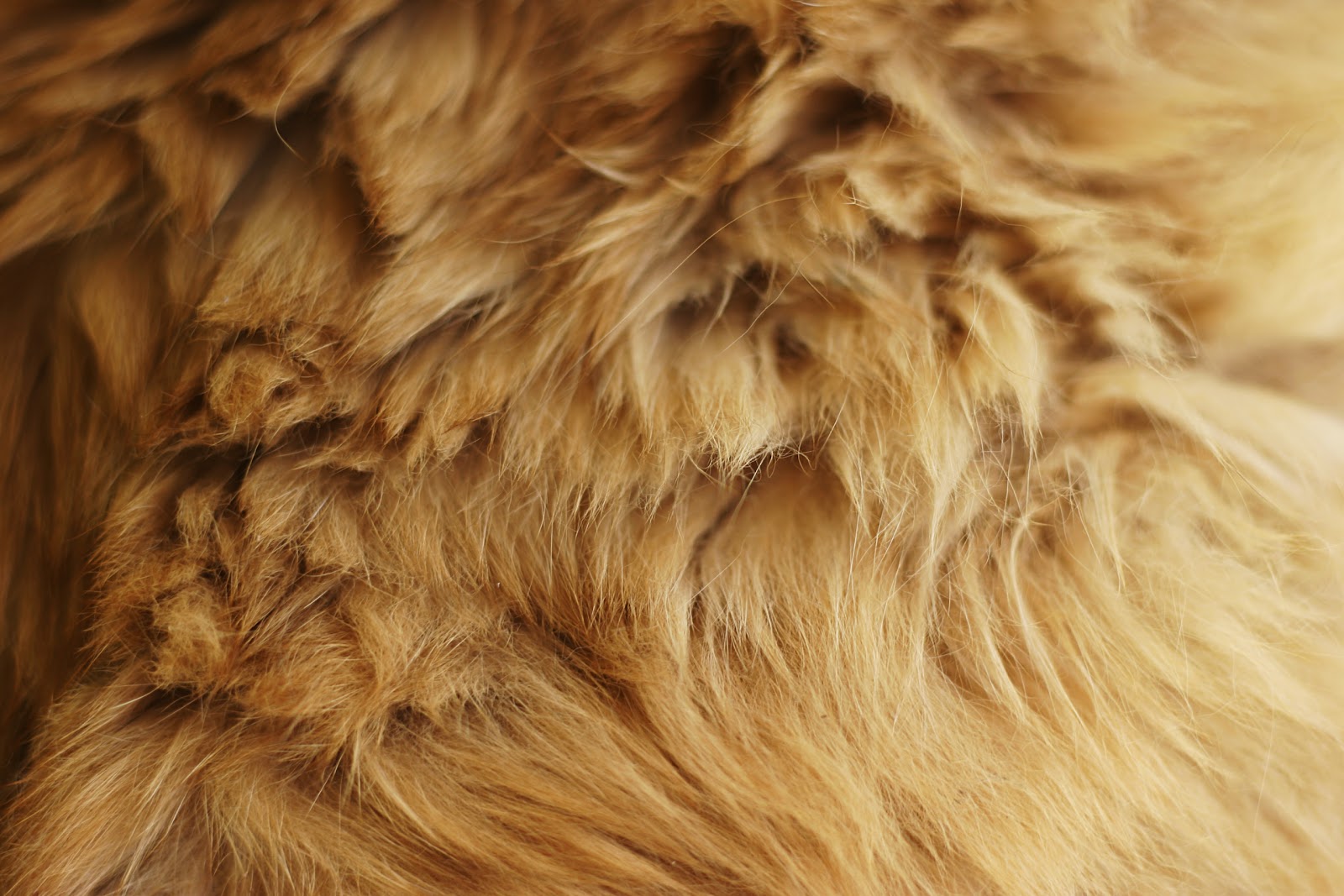 Fur wallpaper, fur fabric, bedroom wallpaper - Magazines-24