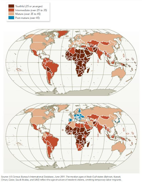 世界地図 平均年齢 マップ