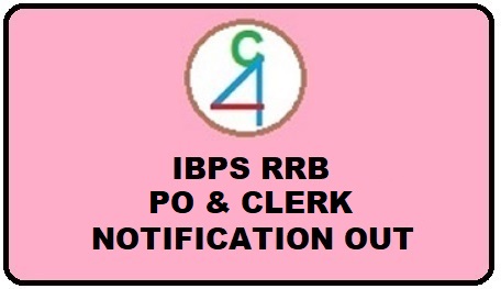 IBPS RRB PO & CLERK NOTIFICATION OUT