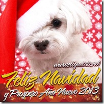 feliz navidad (1)