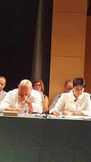 Pleno del Consejo Comarcal del Bierzo con Rosa Luna, de Ciudadanos.