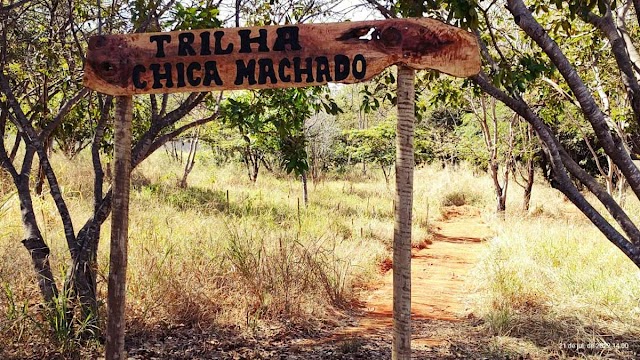 Prefeitura de Goiânia inaugura Trilha Chica Machado, que liga parques Macambira Anicuns e Bernardo Élis, neste domingo (24/07)