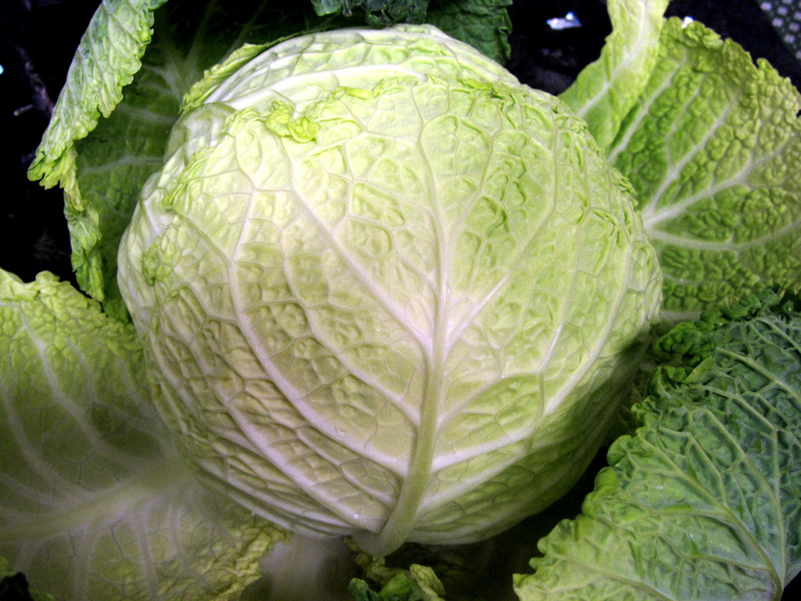 26 Best Pictures Cocinar La Col : Cómo cocinar col romanesco - receta fácil y deliciosa. La ...