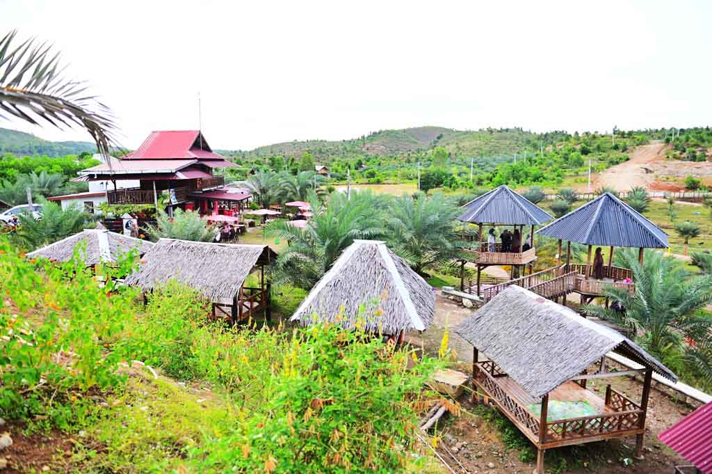 Kebun Kurma Aceh