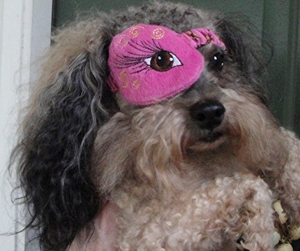 Dog Eye Patch3