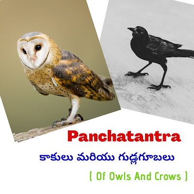 Panchatantra stories in telugu Panchatantra stories in English Panchatantra Stories in Telugu pdf Panchatantra Stories in Hindi What are the Panchatantra stories? How many stories are there in Panchatantra? What are the 5 Tantras of Panchatantra? What is the moral of Panchatantra? తెలుగులో పంచతంత్ర కథలు ఆంగ్లంలో పంచతంత్ర కథలు తెలుగు పిడిఎఫ్‌లో పంచత్ర కథలు హిందీలో పంచతంత్ర కథలు పంచంత్ర కథలు ఏమిటి? పంచంత్రంలో ఎన్ని కథలు ఉన్నాయి? పంచతంత్రం యొక్క 5 తంత్రాలు ఏమిటి? పంచతంత్రం యొక్క నైతికత ఏమిటి? Will crows attack an owl? Why the owl is not king of the birds? What is the moral of the story the swan and the owl? Why are crows afraid of owls?