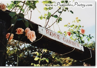 Rose Garden - Punjabi Poetry