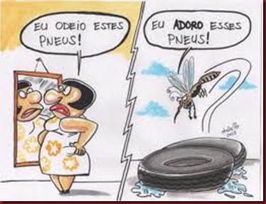 Enem Dengue Mosquito