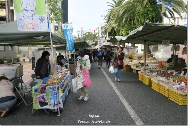 日本四國 高知日曜市 (17)